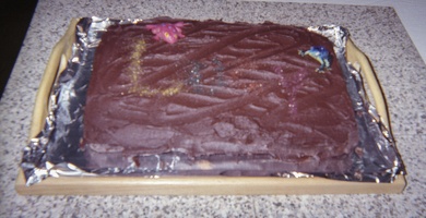340-21 199912 Lucys Birthday Cake